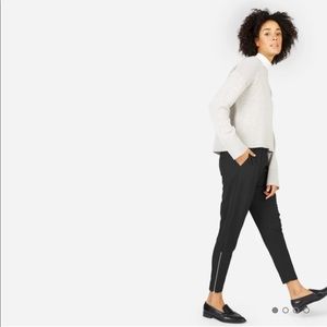 Everlane Japanese GoWeave Zip Track Pant